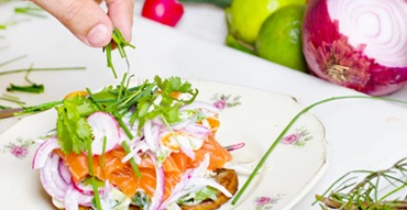 An elegant plate of slamon and fresh vegetables in a kitchen surface.