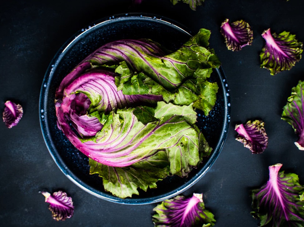 Head of purple leaf lettuce decoratively placed in a bowl.
